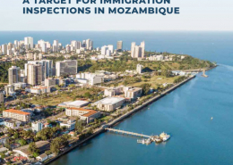 Business or Work Trip A Target for Immigration Inspections in Mozambique