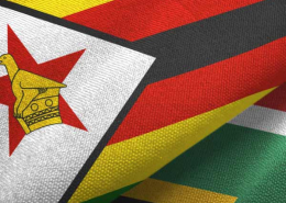 No Extensions For Zimbabwean Exemption Permit Holders