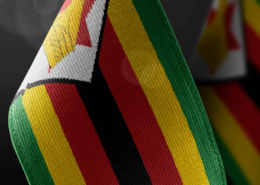 Zimbabwe Visa Update The Minister And Xpatweb Speaks On 702